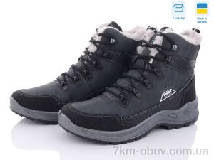 купить оптом Paolla 363-6313