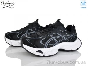 купить Dageni MN256-1 оптом