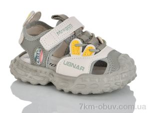 купить оптом Lilin C65-65