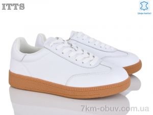 купить ITTS Q002-E оптом