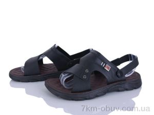 купить CAB 1666-1 оптом