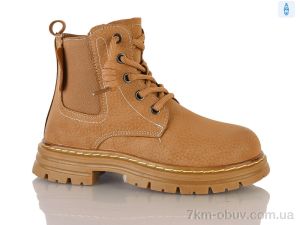 купить DINO ALBAT Y161(2118B) camel оптом