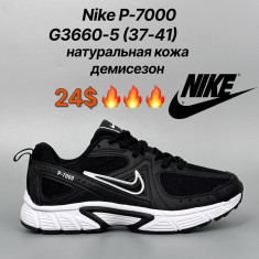 купить Classica G3660-5 оптом