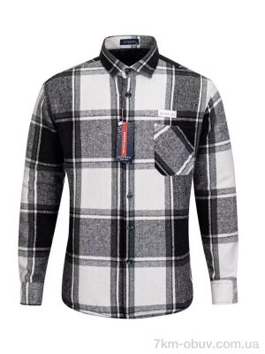 купить Verton W2504 grey оптом