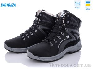 купить оптом Lvovbaza Paolla 364-6113