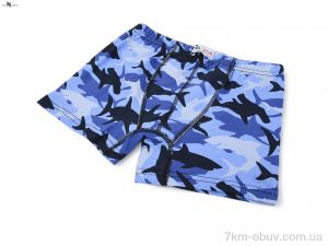 купить NOVA VIDNOVA GKID11 shark l.blue (146-152) оптом