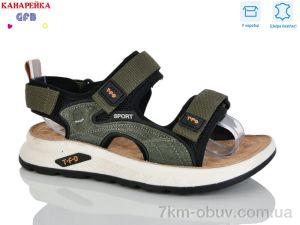 купить GFB-Канарейка R821-7 оптом