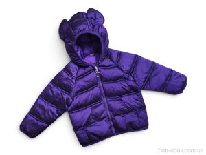 купить Kids-modnik K2606 фіолетовий оптом