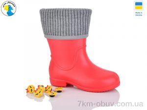 купить Jose Amorales 123463 оптом