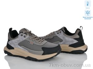 купить Olimp 5025-71 оптом