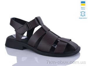 купить Sali 267 корич.к. оптом
