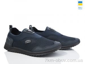 купить Paolla M2901 т.синій оптом