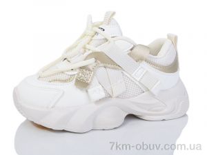 купить ASHIGULI 2011-2 оптом