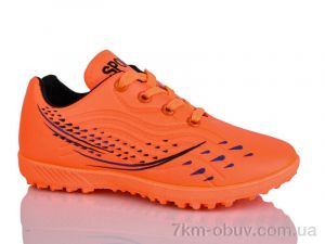 купить оптом ASHIGULI C13-3