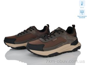 купить Olimp 5025-6 оптом
