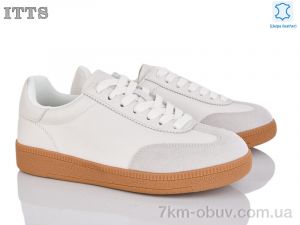 купить ITTS Q002-D оптом