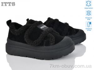 купить ITTS KT99-1 оптом