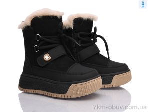 купить Clibee-ShoSho TB56-1 black оптом