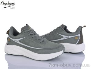купить Dageni A2773-23 оптом