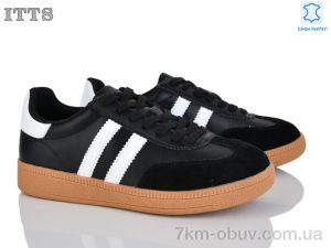 купить ITTS Q003-C оптом