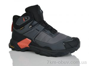 купить Sen.dini A235-6 оптом