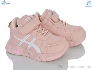 купить BBT R888-2-8 LED оптом