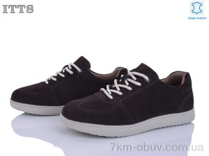 купить ITTS CK19-4 оптом