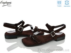 купить Dageni F247-9 оптом
