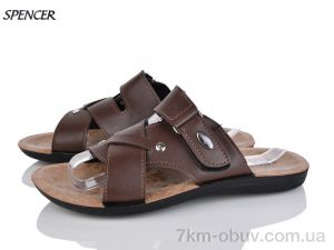 купить Spencer 2402 коричневий оптом