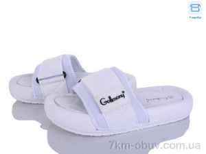 купить Захар-Gold BH9031-2 оптом