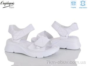 купить Dageni F221-2 оптом