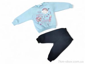 купить Kids-modnik 43650 фісташковий реглан-штани оптом