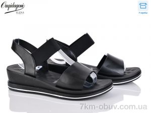 купить оптом Dageni 0936-1