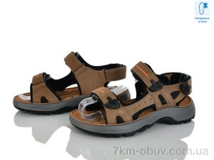 купить оптом KIMBOO T65-3M