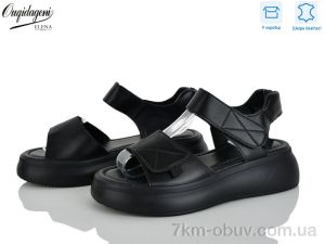 купить Dageni F228-1 оптом
