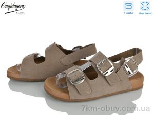 купить Dageni C9421-5 оптом