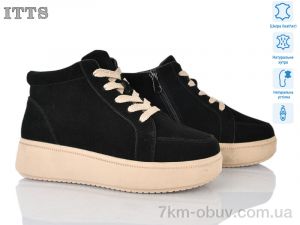 купить ITTS K702-2 оптом
