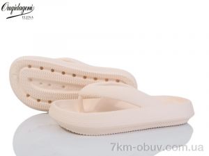 купить Dageni 1619-8 оптом