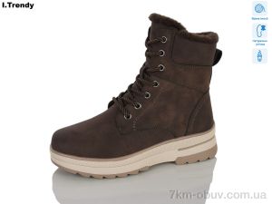 купить Trendy DH3971-5 оптом