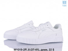 купить Dageni M1019-2P оптом