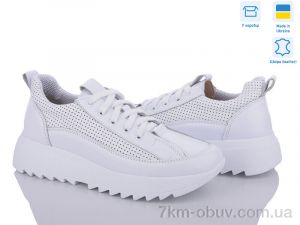 купить Stella 168-43 оптом