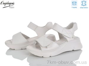 купить Dageni F221-3 оптом
