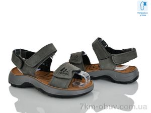купить KIMBOO T68-3L оптом