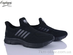 купить Dageni T99352-4 оптом