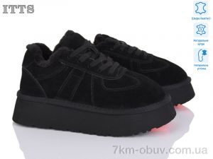купить ITTS F281-1 оптом