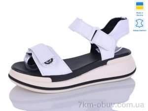 купить оптом Botema 205-6