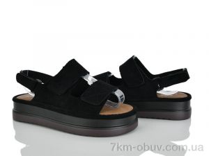 купить Loretta Y095 оптом