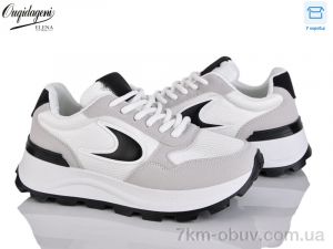 купить Dageni C6603-2 оптом