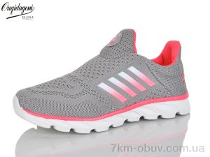 купить Dageni B2702-2 оптом