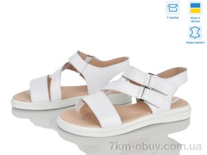 купить Ailinda 456-8 оптом